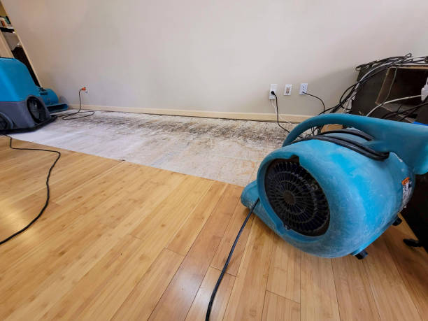 Professional Water Damage Repair technician working in Roseland, NJ